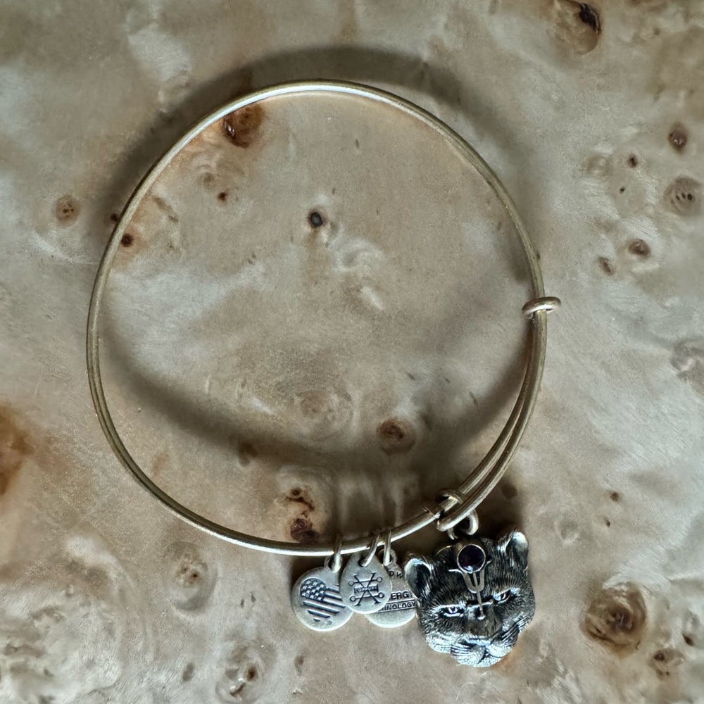 Gold Alex and Ani bracelet